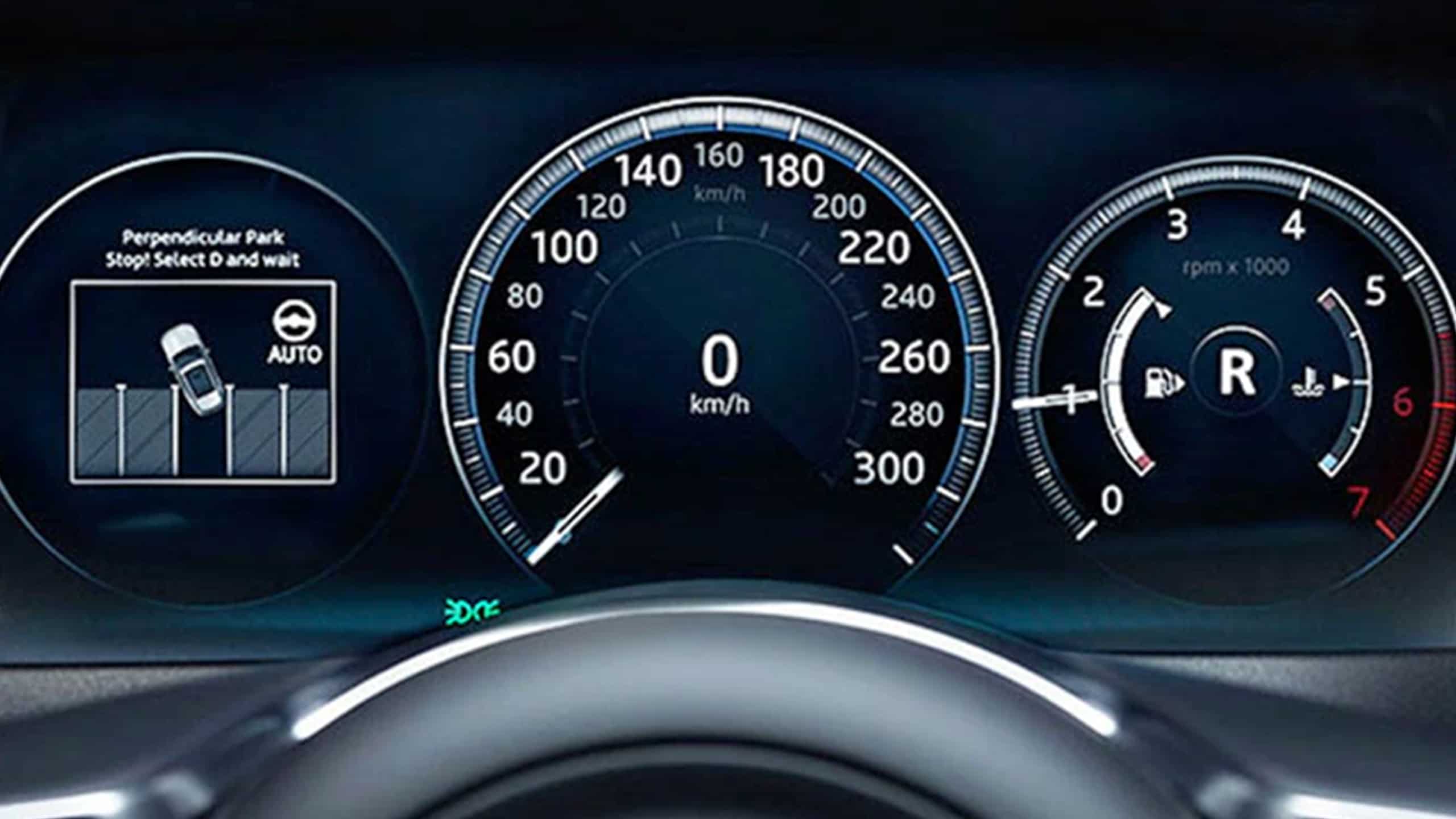 Driver display showing park assistance